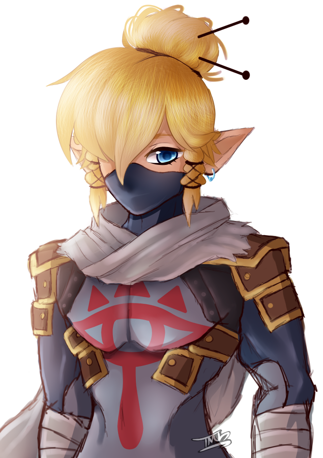 Tears of the Kingdom Link PNG by Zelda64guy1999 on DeviantArt