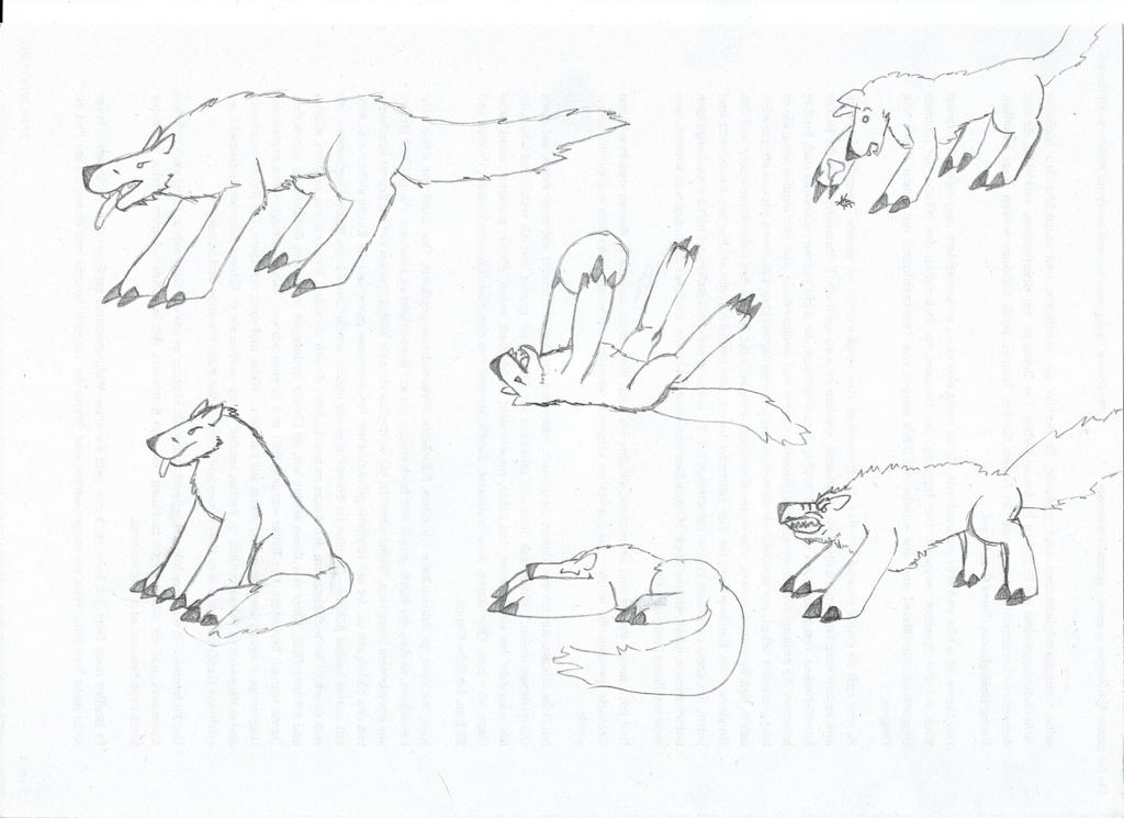 Wolf comic style by whiteCrow34 on DeviantArt