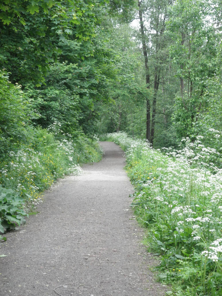Endless pathway by Niko-the-Hedgehog on DeviantArt