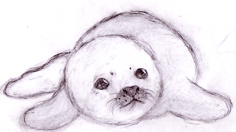 how to draw realistic baby animals