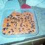 Halloween Cake