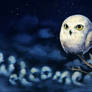 Owl Welcome