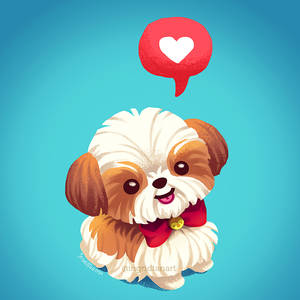 Shih Tzu Love