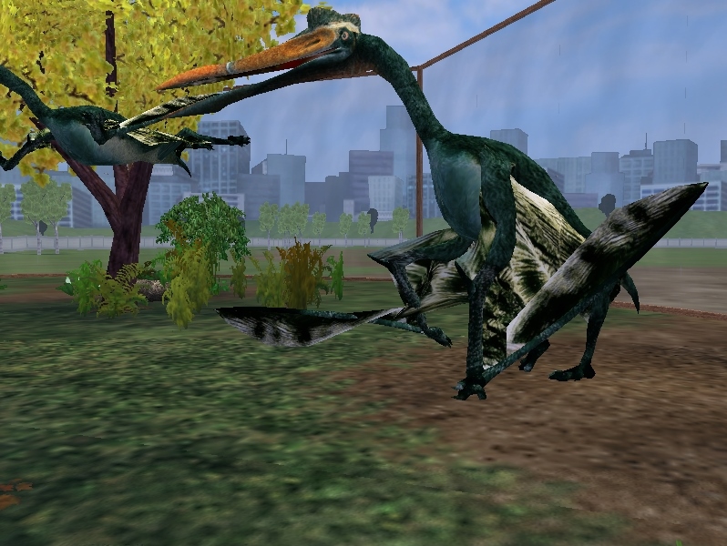 Zoo Tycoon 2 Showcase: Velociraptor by ProfDanB on DeviantArt