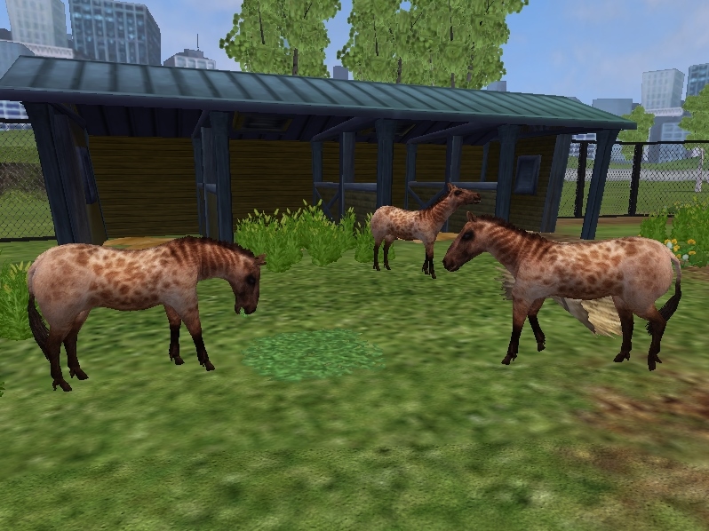 Zoo Tycoon 2: Model Archive (Free Access) DOWNLOAD by Honorsoft on  DeviantArt