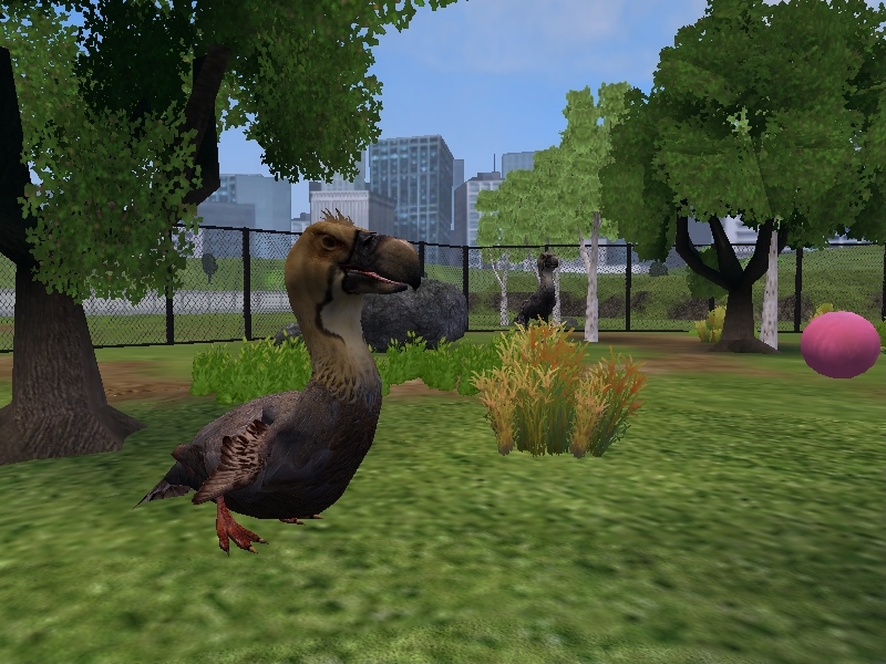 Zoo Tycoon 2 Showcase: Paraphysornis by ProfDanB on DeviantArt