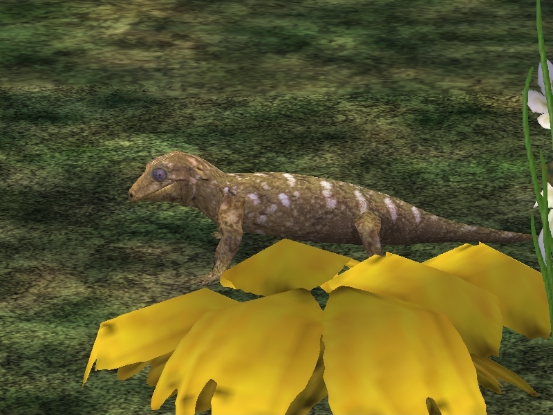 Zoo Tycoon 2 Showcase: Opisthocoelicaudia by ProfDanB on DeviantArt