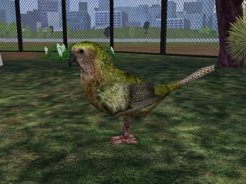 Zoo Tycoon 2 Showcase: Opisthocoelicaudia by ProfDanB on DeviantArt