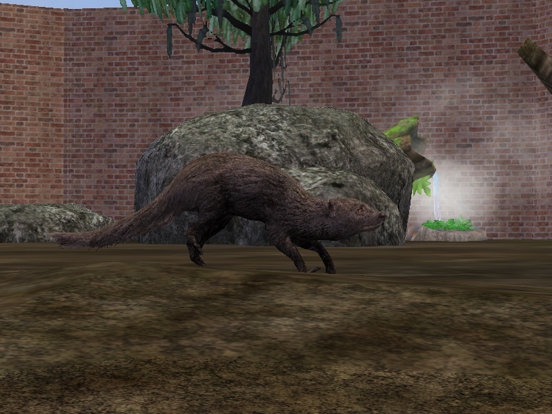 Zoo Tycoon 2 Showcase: Velociraptor by ProfDanB on DeviantArt