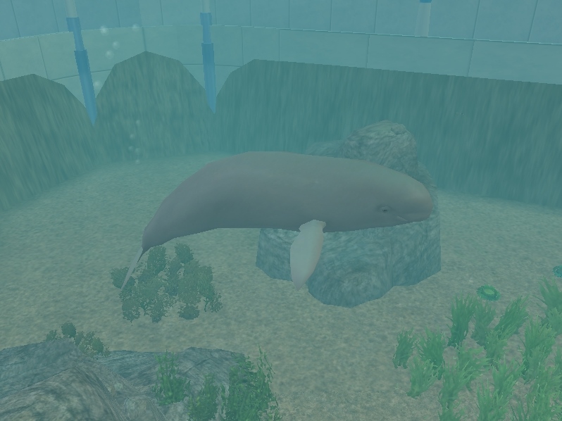 Zoo Ty 2 Showcase Indopacific Finless Porpoise By Profdanb On Deviantart Zoo Ty 2 Showcase Indopacific, Zt2 Round Table Zoos And Aquariums