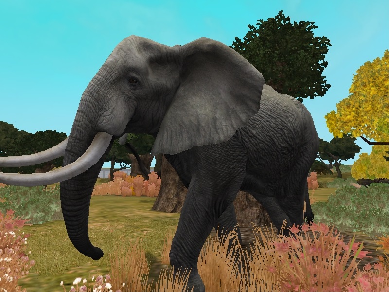 ZT2 Showcase - African Bush Elephant by ProfDanB on DeviantArt