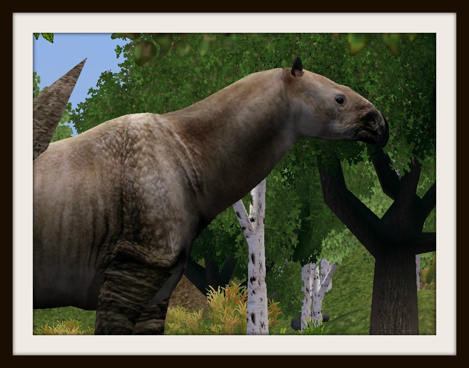 Largest Land Mammal! by ProfDanB on DeviantArt Largest Land Mammal! by ProfDanB on DeviantArt