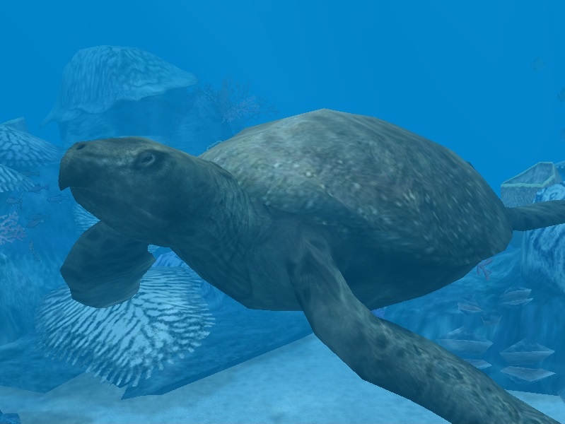 Zt2 Showcase Archelon By Profdanb On Deviantart Zt2 Showcase Archelon By Profdanb On Deviantart