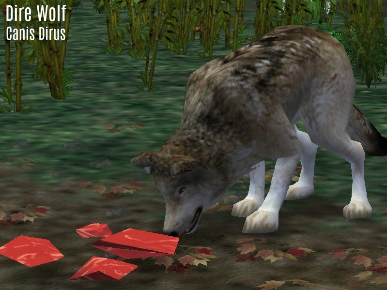 Zoo Tycoon 2 Showcase - Andrewsarchus by ProfDanB on DeviantArt