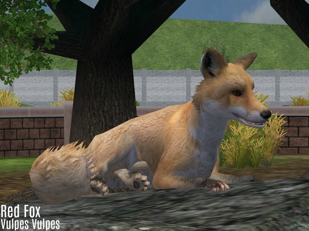 Zoo Tycoon 2 Showcase - Andrewsarchus by ProfDanB on DeviantArt