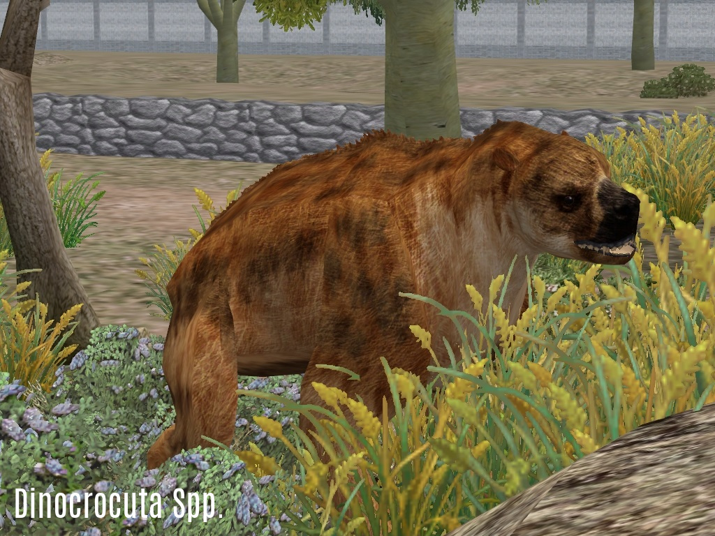 Zoo Tycoon 2 Showcase - Andrewsarchus by ProfDanB on DeviantArt