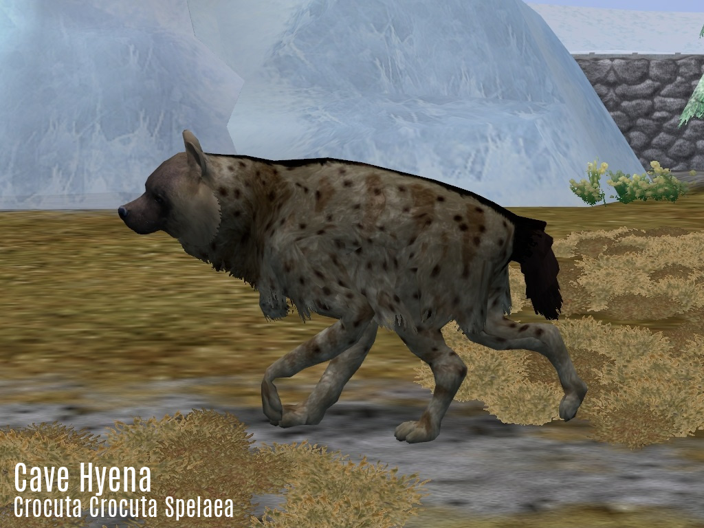 Zoo Tycoon 2 Showcase - Andrewsarchus by ProfDanB on DeviantArt