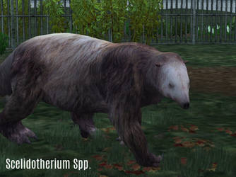 ZT2 Showcase - Scelidotherium