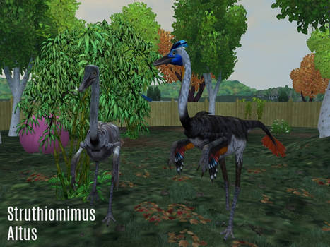 ZT2 Showcase - Struthiomimus