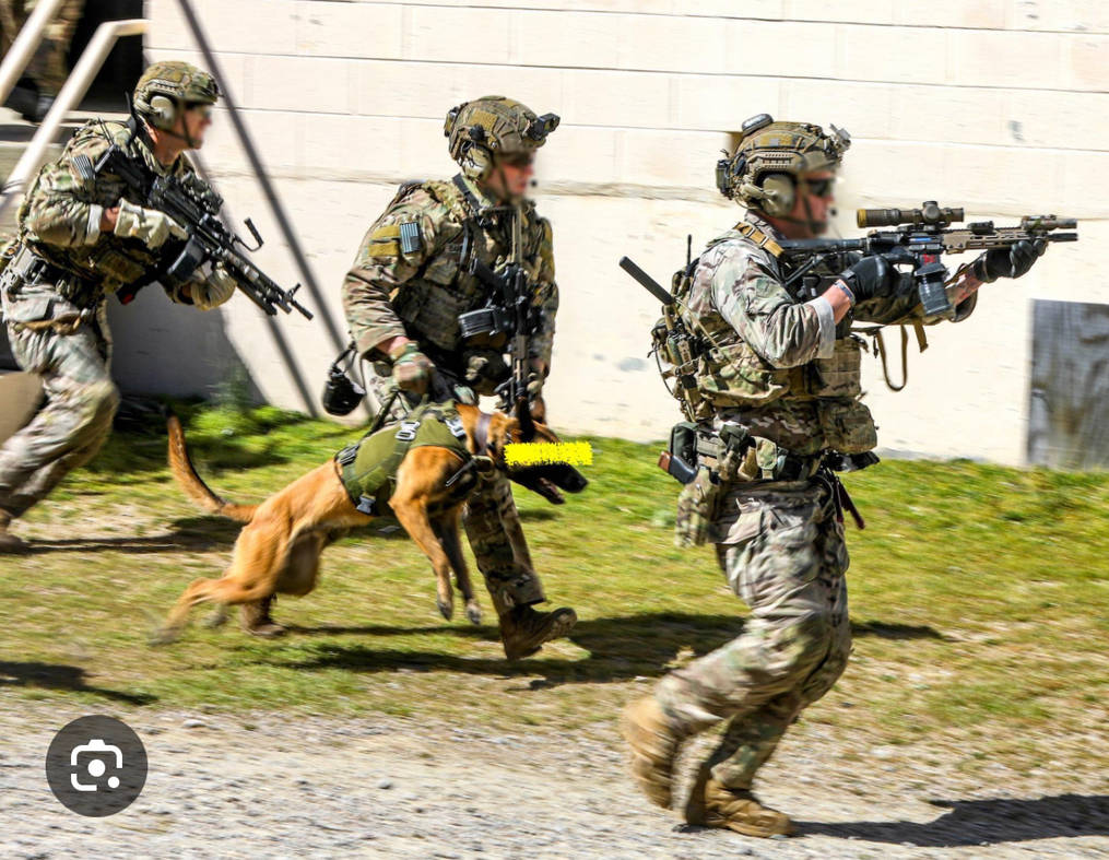75th Rangers Inaction 75th rangers in action by XDCUNT on DeviantArt