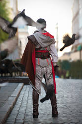 Birds - Assassins Creed 2