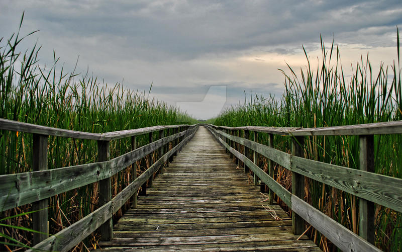 Grassy Narrows