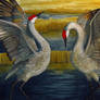 Sandhill Cranes