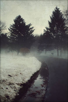 Winter Fog