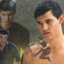 Taylor Lautner,Jacob Black