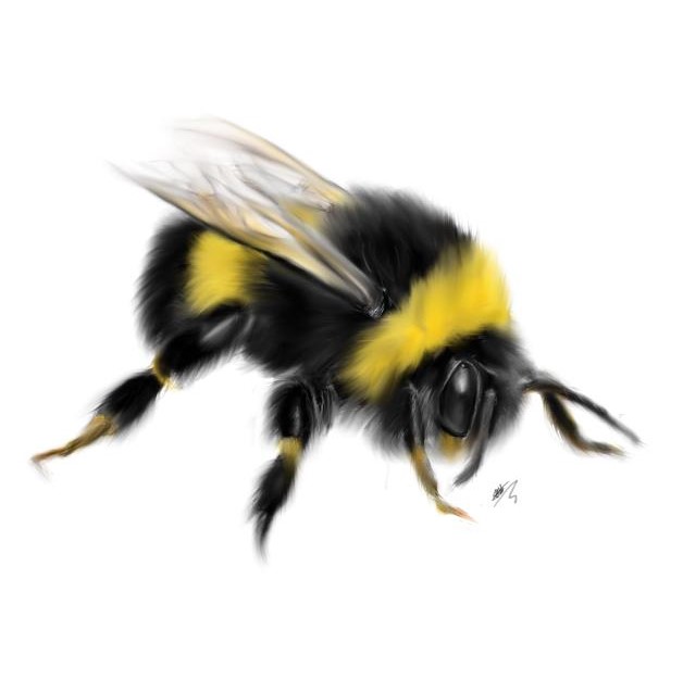 Bee Deviantart Style Bee- Digital Painting by rhobbs94 on DeviantArt