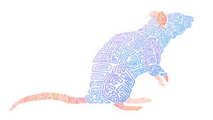 Rat Design