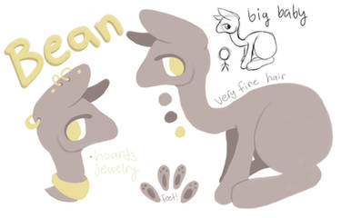 bean ref.png