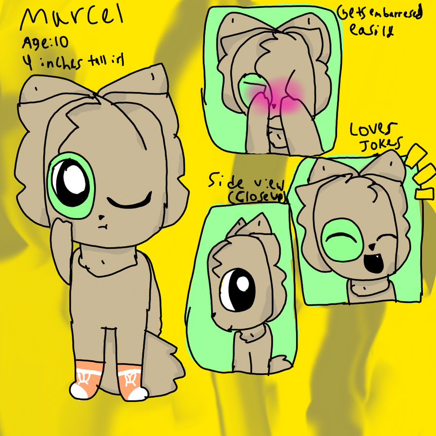 Marcel the Shell Cat by Rebecca47368 on DeviantArt