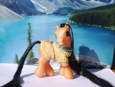 Pocahontas Custom MLP SOLD