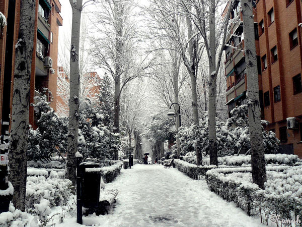 Paseo nevado