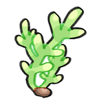 Okane Shrub by KatyaHam