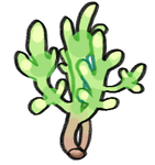 Okane Bush by KatyaHam