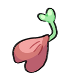 Sprout Sprout by KatyaHam