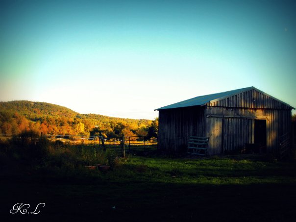 barn and yard