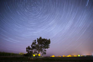 Spring night