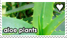 aloe_plants_by_waywardsoothsayer_d69imps