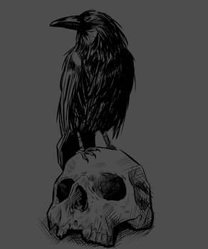 Raven on the skull