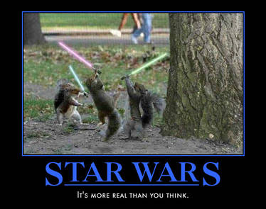 Star wars: jedi squirrels