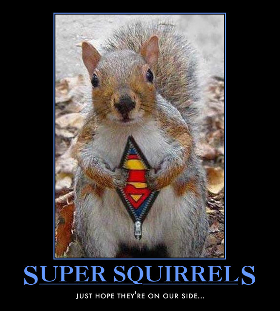 Super squirrel demotivational