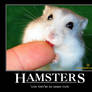 hamster motivational poster