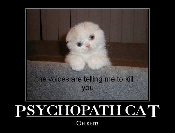 cat demotivational poster