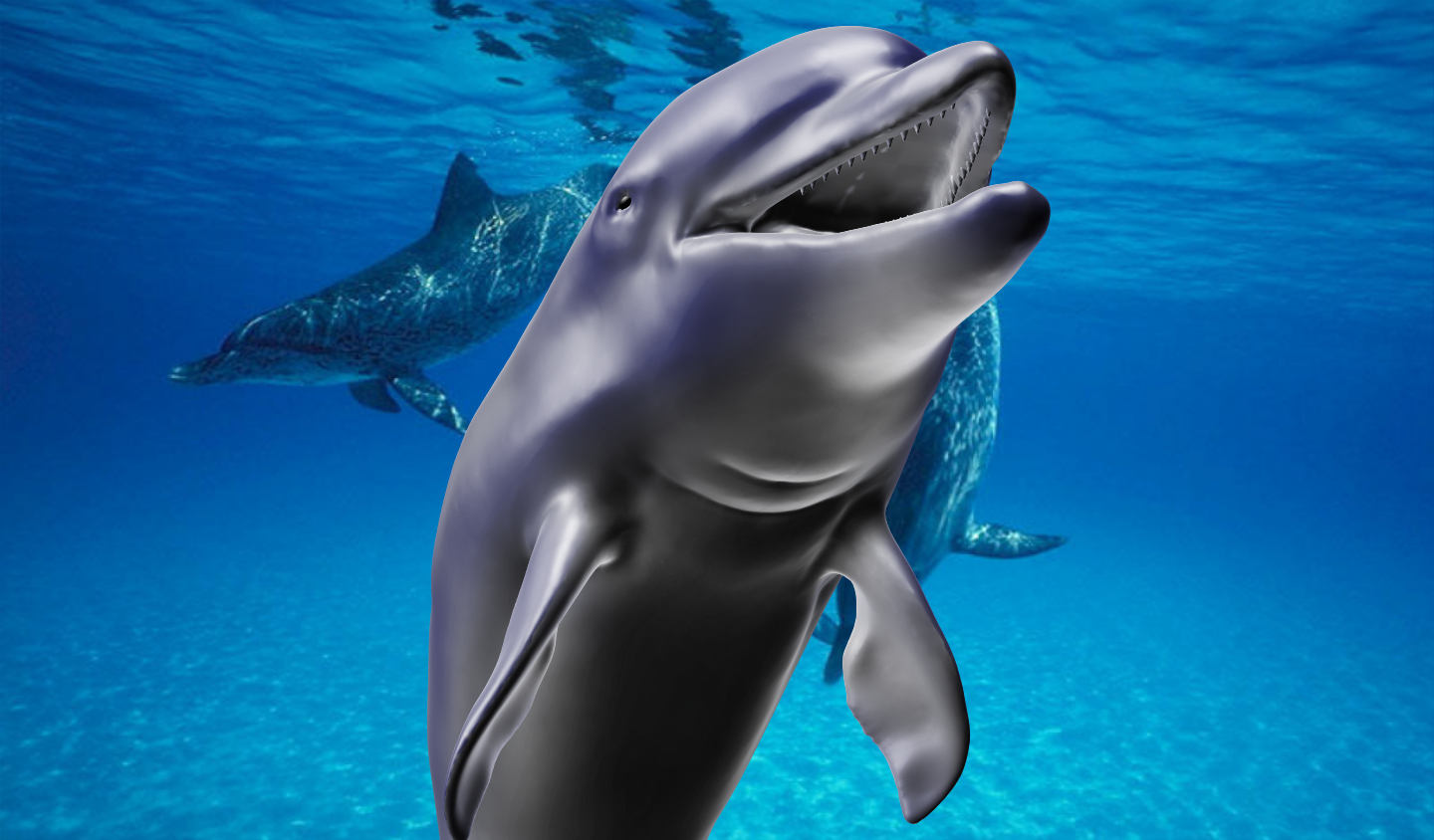 Sculptris: Dolphin Wallpaper by Banjooie64
