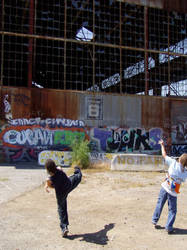 Throwing Stones at the Graffiti Cathedral