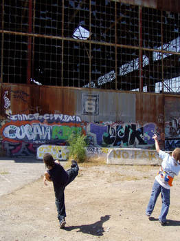 Throwing Stones at the Graffiti Cathedral