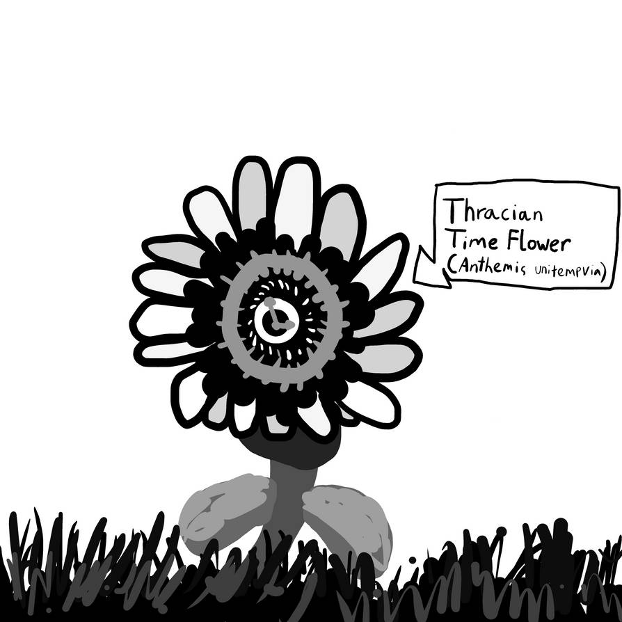 Time Flower Thracian Time Flower by OruNumber1 on DeviantArt